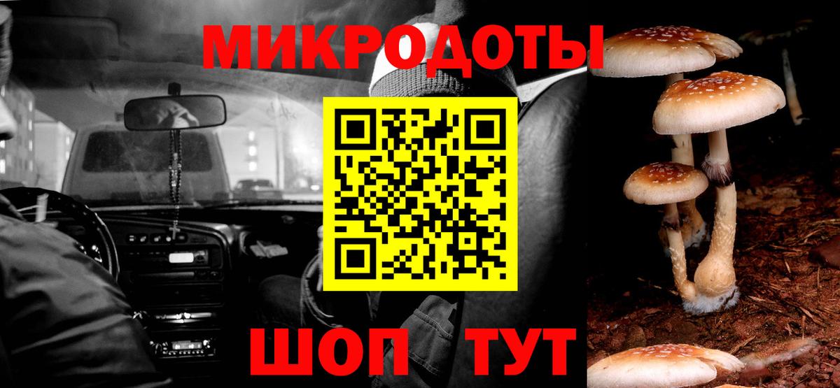 Галлюциногенные грибы мухоморы  Вход с VPN  Кингисепп 