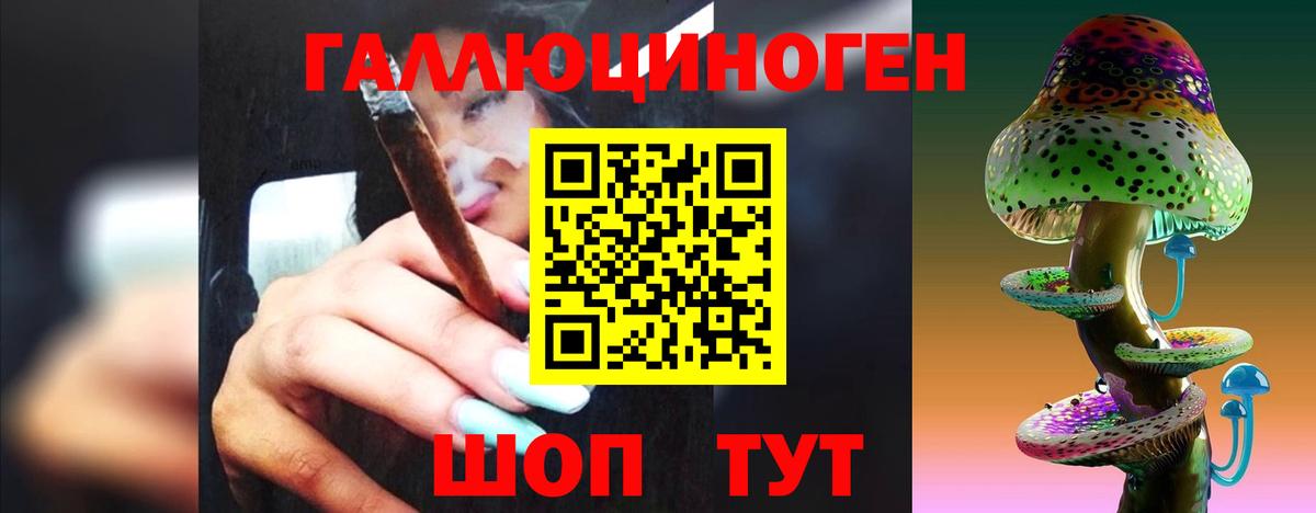 Псилоцибиновые грибы Psilocybine cubensis Кингисепп